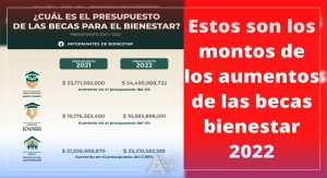 Presupuesto Becas Bienestar 2022