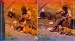 Video: habitante de calle celebró el cumpleaños de su perro con gorros y pastel